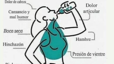 10 Razones por las que Beber Agua es Vital para tu Salud 4
