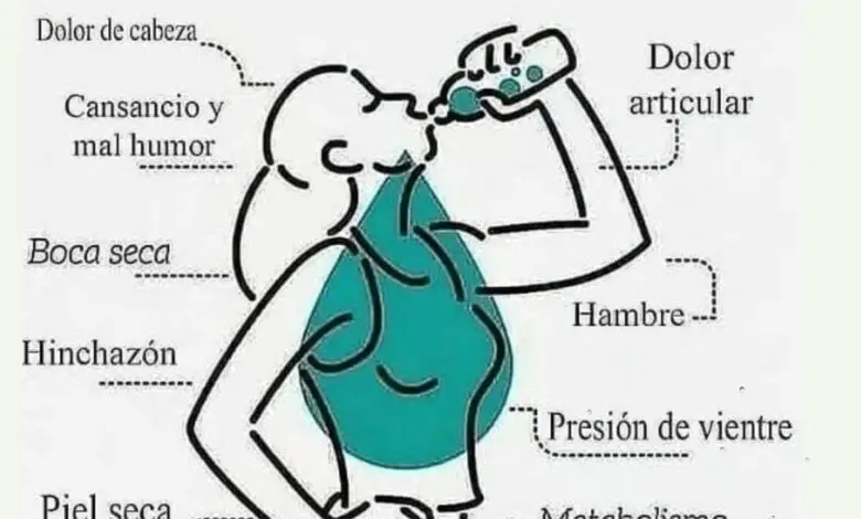 10 Razones por las que Beber Agua es Vital para tu Salud 1