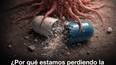 ¿Por qué el cáncer sigue aumentando pese a la medicina moderna? 2