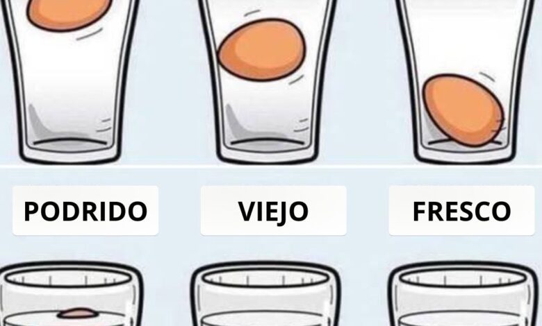 No hay forma más precisa: la manera más exacta de comprobar la frescura de los huevos de gallina 1