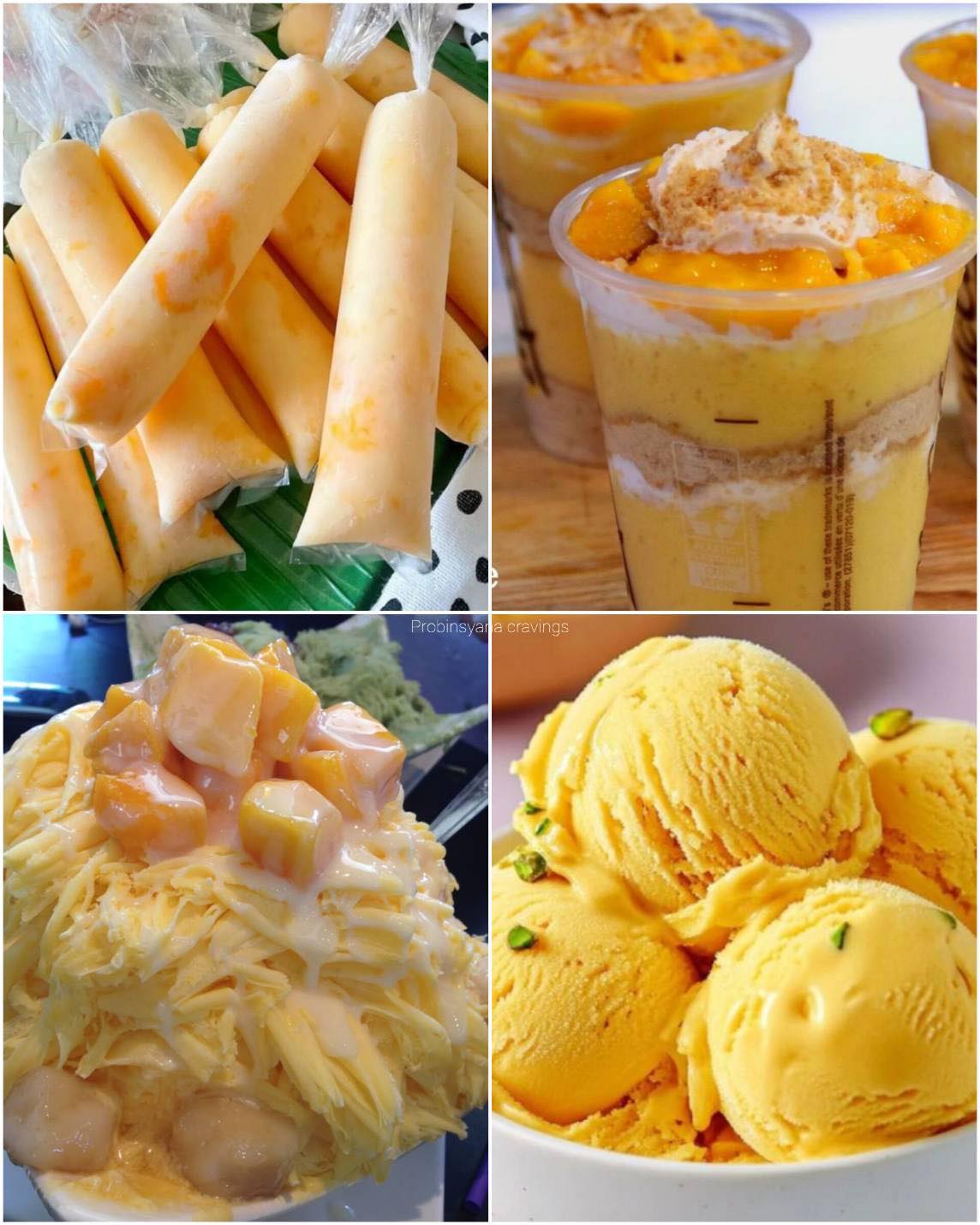 497866335_1256569303141832_5935207415842375628_n