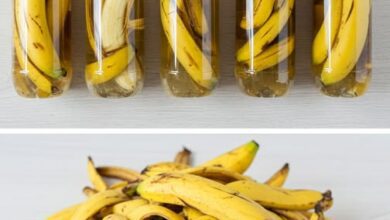 ¡Deja de tirar las cáscaras de plátano! 5