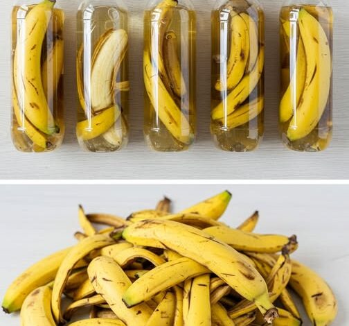 ¡Deja de tirar las cáscaras de plátano! 1