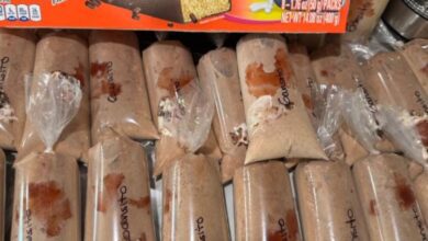 Bolis Gourmet de Gansito 8