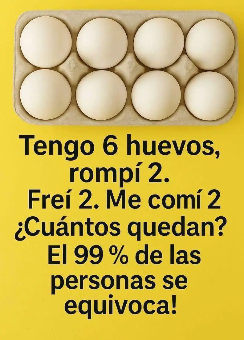 505468284_1185193456979921_3547915920341467090_n