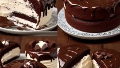 Tarta de Queso con Chocolate y Base de Oreo 5