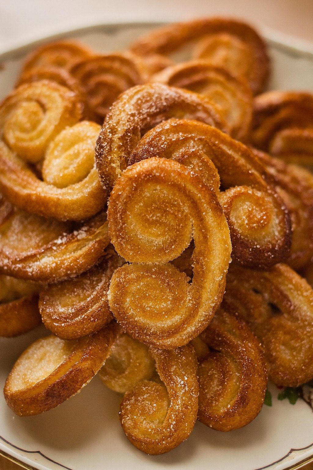 541842681_1190271326479805_3491396533138757455_n