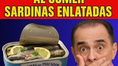 EL SECRETO QUE NADIE TE DIJO SOBRE LAS SARDINAS 4