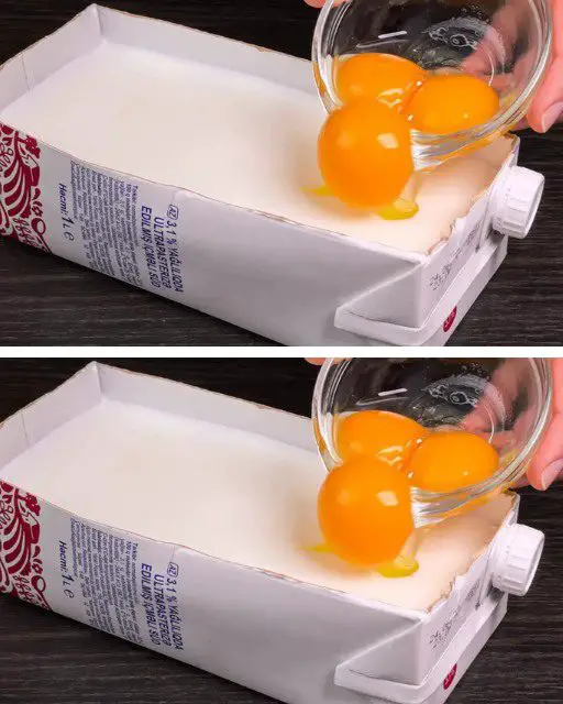 577015243_1245123064307822_6136224600396294546_n