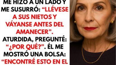 Tomé el abrigo de mi nuera en la tintorería. El dueño me dijo: “Lleve a sus nietos y huya” 4