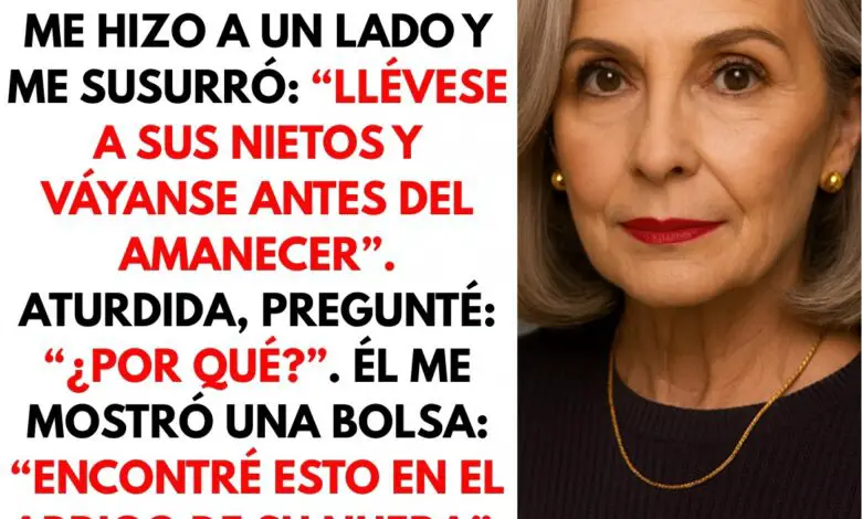 Tomé el abrigo de mi nuera en la tintorería. El dueño me dijo: “Lleve a sus nietos y huya” 1