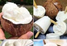 Helados de coco caseros
