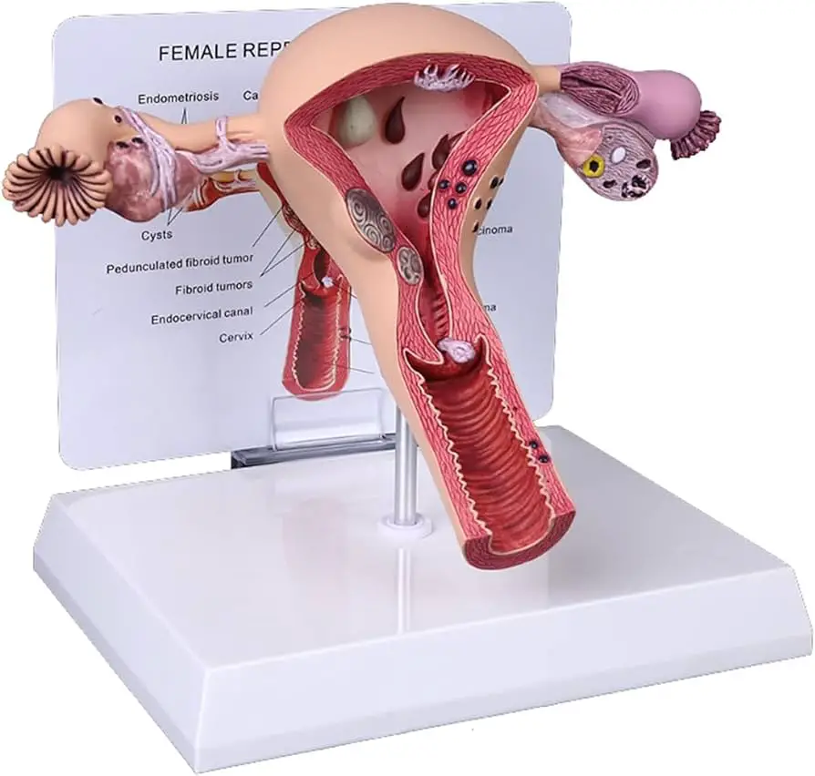 61BaddJLRSL._AC_UF894,1000_QL80_