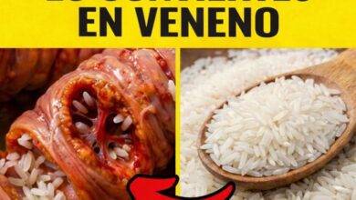 ¡Alerta! 7 errores al comer arroz que están dañando tu salud 5