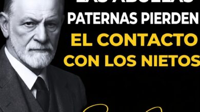 Por qué las abuelas paternas pierden el contacto con sus nietos 2