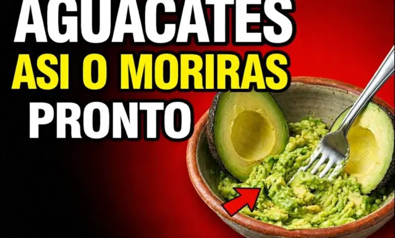 ¿Comes aguacates? Evita estos 10 errores peligrosos con aguacate que todo mayor debe conocer 1