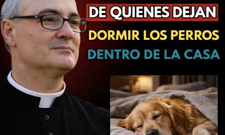 El padre reveló el destino de quienes dejan dormir los perros dentro de la casa 1