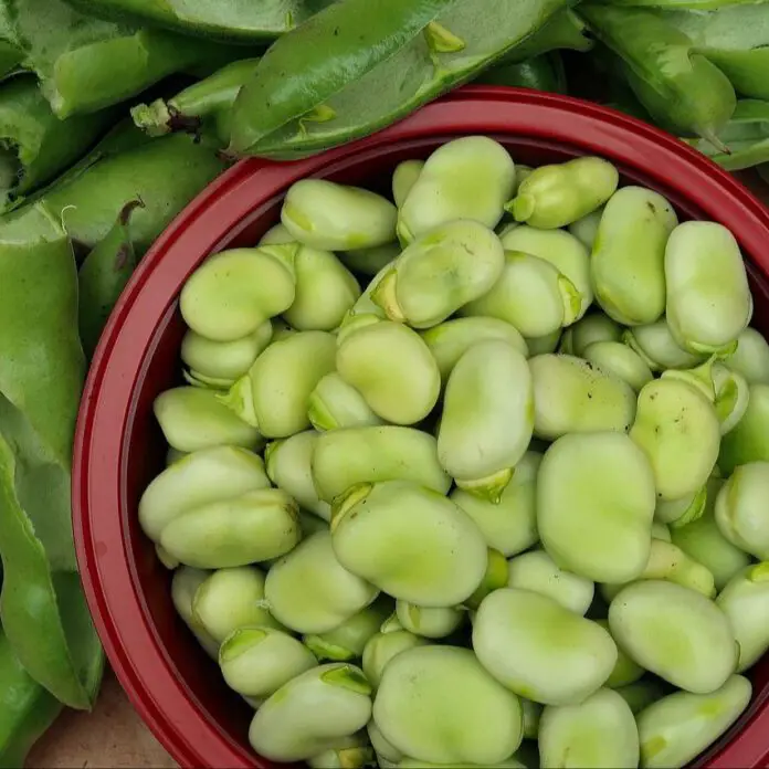 659596844_1364788245674636_1413007095169920891_n