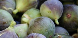 Médicos revelan que el consumos de higos provoca…