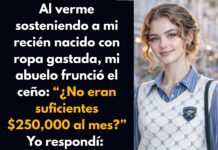 Viéndome sostener a mi recién nacido con ropa gastada, mi abuelo preguntó: ¿No eran suficientes 250,000 dólares?