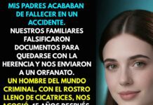 Mis padres murieron, mis familiares robaron todo y me llevaron a un orfanato… 15 años después…
