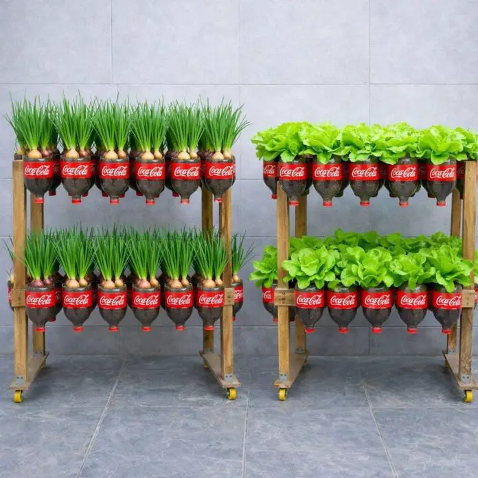 669025333_959178433300599_5390949067381101203_n