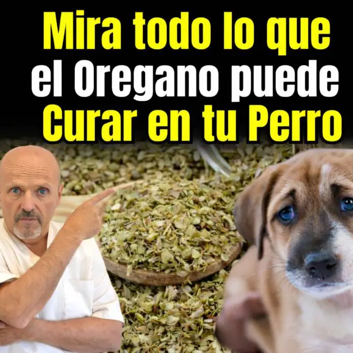 670300538_1370410311779096_5535351819624345525_n