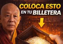 Coloca 7 granos de arroz en tu billetera… y observa lo que sucede