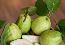 Los médicos revelan que comer guayaba provoca…