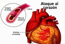 ¿Sabías que beber agua con el estómago vacío podría…