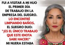 Encontré a mi hijo limpiando los baños… el suegro rió: “es todo lo que él sabe hacer”. Entonces llamé.