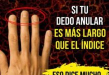 Mira tu dedo anular — Y lo entenderás todo sobre ti.