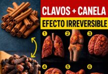 ¡Mezclar clavos con canela puede provocar cambios irreversibles en tu cuerpo!