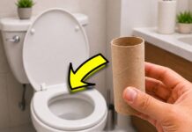El secreto del cartón del papel higiénico que nadie te dice.