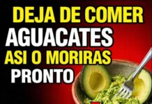 ¿Comes aguacates? Evita estos 10 errores peligrosos con aguacate que todo mayor debe conocer.
