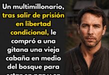 Multimillonario, tras salir en libertad condicional, compró una vieja cabaña a una extraña gitana. Pero al entrar, quedó paralizado al ver…