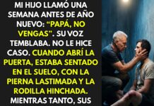 Su hijo le pidio que no fuera, pero al llegar descubrió una situación impactante en el sótano de la casa.