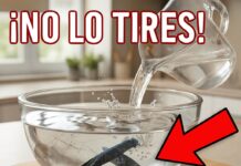 Cómo cuidar una afeitadora descartable sin arriesgar la piel