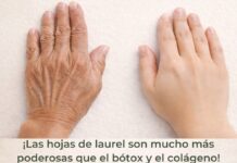 ¡Las hojas de laurel son mucho más poderosas que el bótox y el colágeno! Eliminan todas las arrugas y líneas de expresión. Necesito que digas