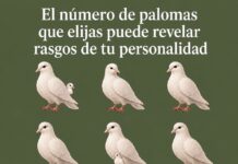 Test visual de las palomas: qué revela sobre tu personalidad la cantidad que ves primero