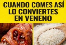 ¡Alerta! 7 errores al comer arroz que podrían estar afectando tu salud sin que lo sepas