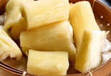 ¿Es realmente la yuca el alimento más peligroso del mundo? La verdad detrás de un alimento que consumen millones de personas