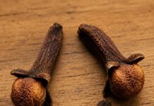 Clavo de olor: beneficios diarios, usos medicinales y cómo preparar té, aceite y extracto