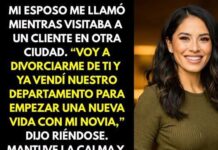 Mi esposo me llamó para decir que quería divorciarse y había vendido el departamento, pero ocurrió algo inesperado.