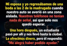 Un gesto en la carretera desierta: la historia de cómo una ayuda desinteresada transformó varias vidas