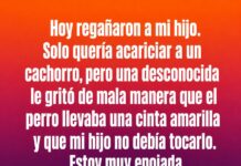 El listón amarillo en perros: qué significa y por qué debemos respetarlo