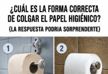 ¿Cuál es la forma correcta de colocar el papel higiénico? El debate familiar que resolvió una patente de 1891