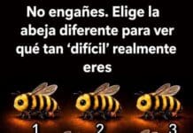 Test visual: encontrá al diferente y descubrí qué tan complejo es tu modo de pensar