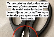 Para qué sirve la parte dentada de las tijeras de cocina: usos prácticos que no conocías