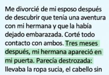 Odié a mi hermana por destruir mi matrimonio… hasta la noche en que perdió al bebé